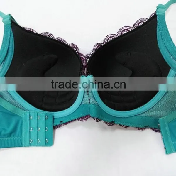Free Sample Push Up Thick Pad Very Sexy Floral Lace Bra photo-2