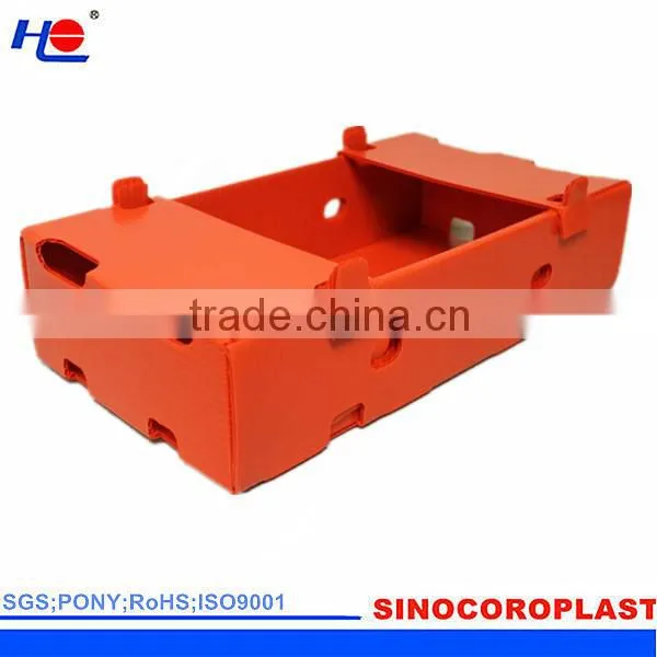 Plastic Cardboard Fruit Box photo-3