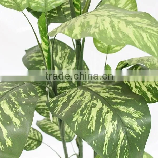 Cheap House Decorative Artificial Dieffenbachia Plant Tree for Sale photo-3