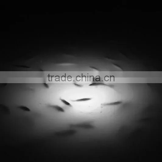 LED Light Fishing Lure photo-4