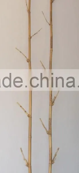 VIETNAM BAMBOO FENCE, BAMBOO POTS With CHEAP PRICE and GOOD QUALITY - GIA GIA NGUYEN photo-6