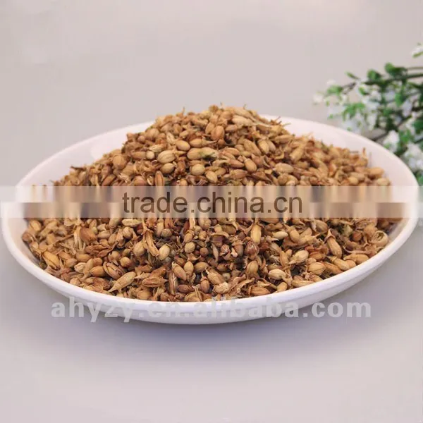 Barley Tea(DaMaiChai)