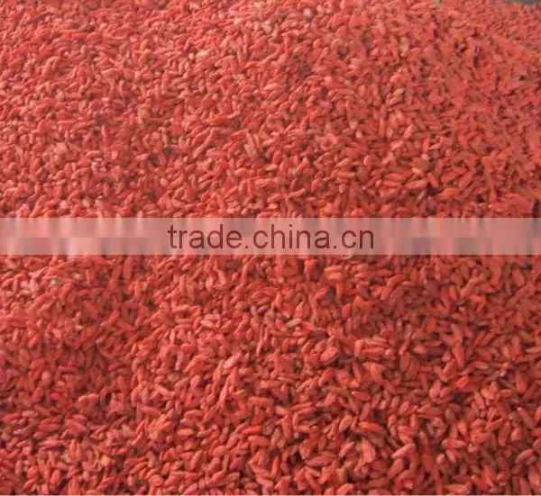 2015 High Quality Dried Goji Berry photo-2