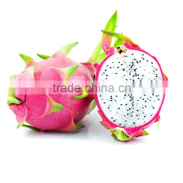 dragon fruits ,wholesale fresh dragon fruits 2016 new crop made in Vietnam