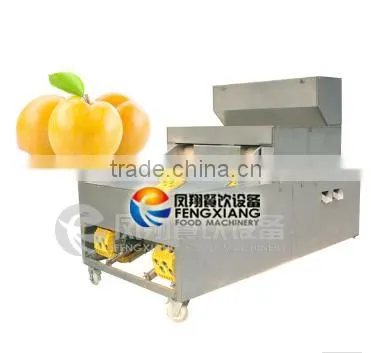 2016 Industrial Hot-sale Plum Stoner Processing Machine photo-5