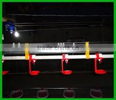 Amazing Quality Chiken Drinker / Commodity Chicken Rearing Automatic Drink Line photo-2