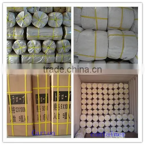 China Professional Leading Manufacturer 3 Strands PP Rope photo-6