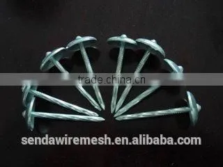 3" Umbrella Roofing Nails/construction Roofing Nails and Building Material Nails photo-3