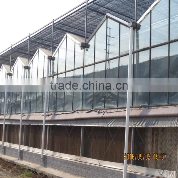 AL Frame Plastic Greenhouse With European Standart photo-3