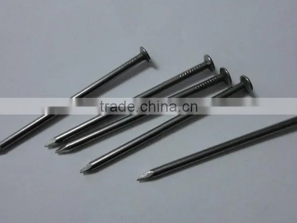 Good Quality 15cm Common Nails/polished Iron Nail / Standard Wire Nail photo-5
