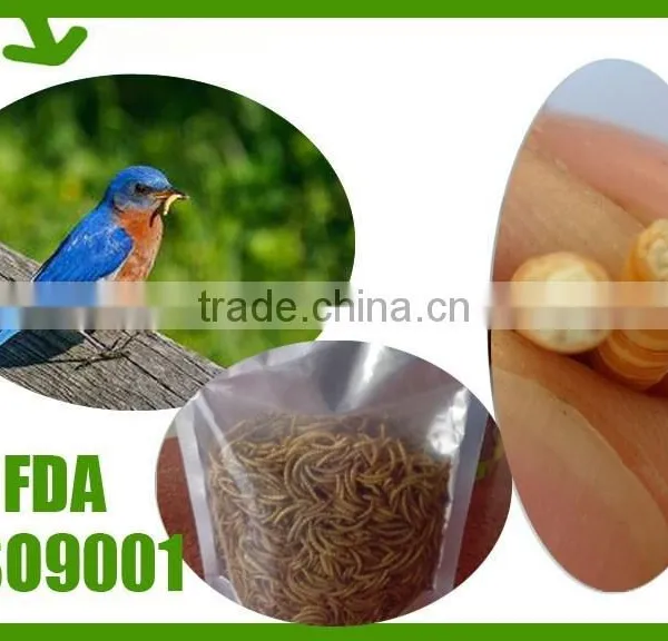 High Quality Fish Food And Bird Food Dried Mealworm photo-2