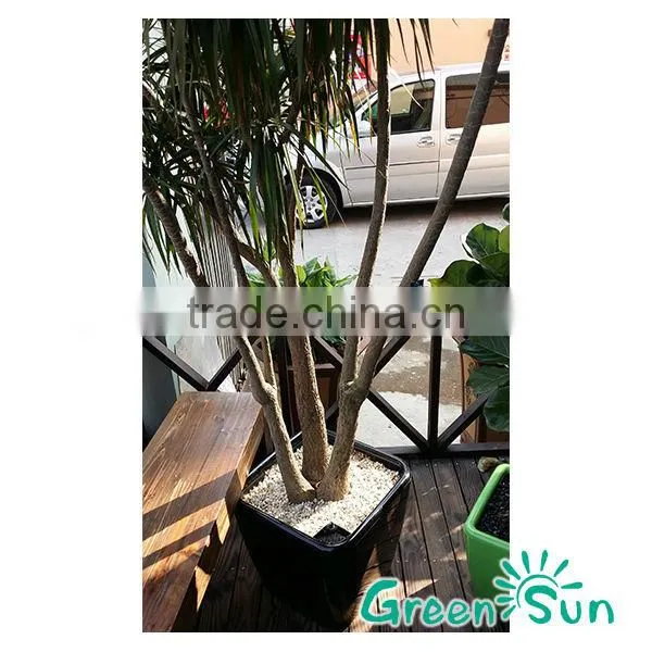 Rattan Furniture Decoration Pots With Water Indicator,garden Planter Pots,self-watering Planter,hydroponic Systems Planter Pots photo-3