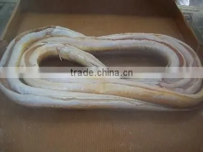 Frozen Eel Fish photo-3