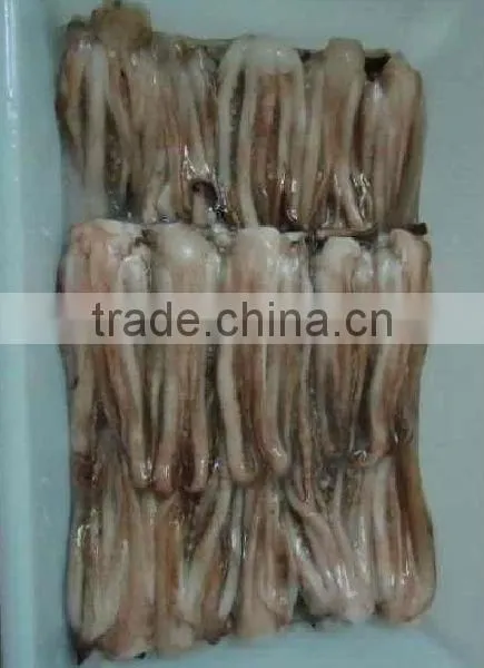Frozen Illex Squid Tentacle photo-2