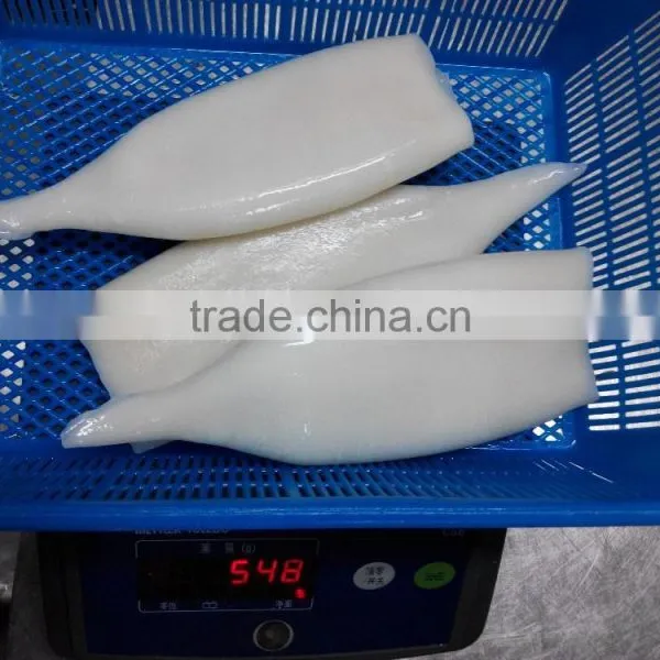 Wholesale Frozen Seafood Squid Tube photo-3