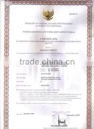 Gracilaria Seaweed With Good Quality photo-5