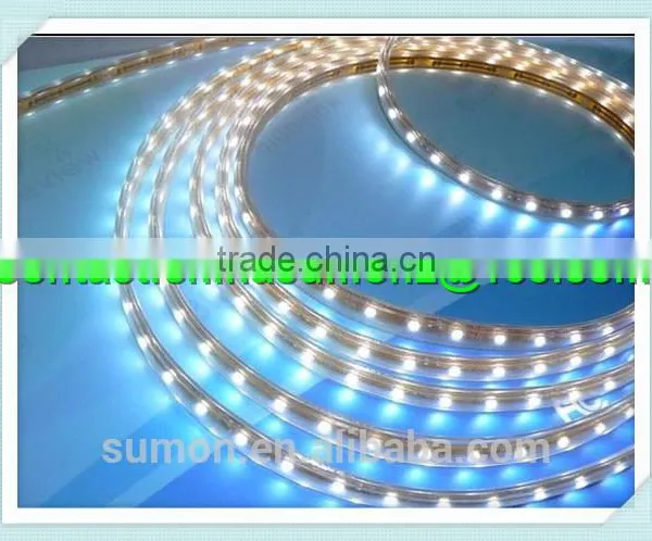 China Supplier SMD Holiday LED Lighting 110 220V 60leds/m Dmx Rgb Led Strip Light photo-5