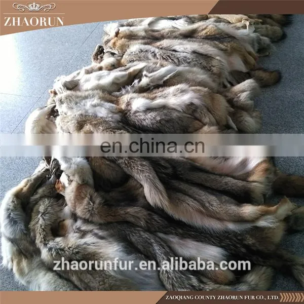 Whole Coyote Skin Coyote Fur for Garment photo-3