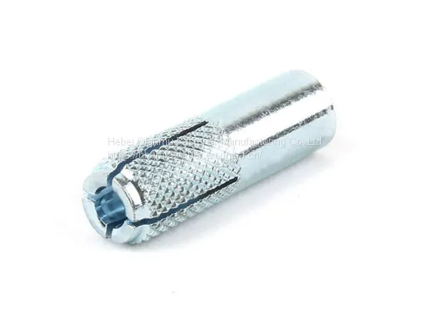 Hot Sale Galvanized Drop in Anchor for Concrete Drop in Anchor Bolt Hot Sale Galvanized Drop in Anchor photo-3