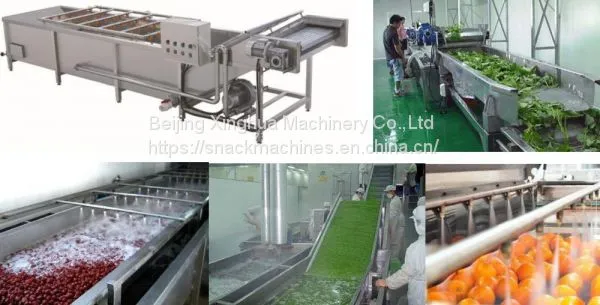 Fruit And Vegetable Washing Machine Operation Manufacturing Process photo-2