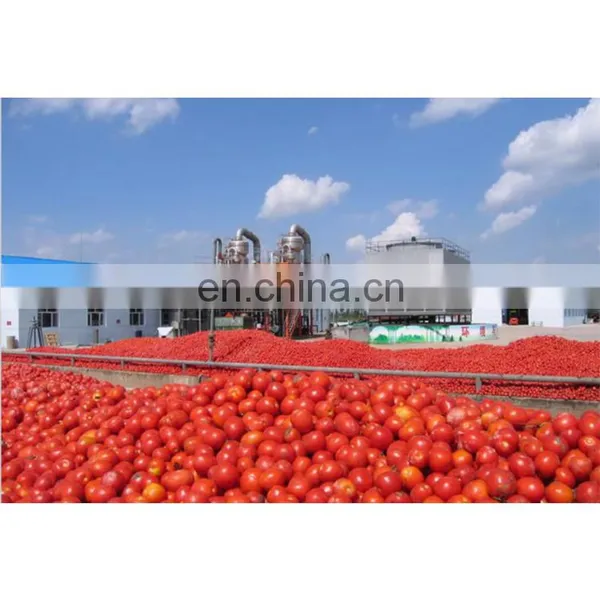 China Tomato Paste Production Line/production Line of Tomato Puree/tomato Sauce Production Line photo-2