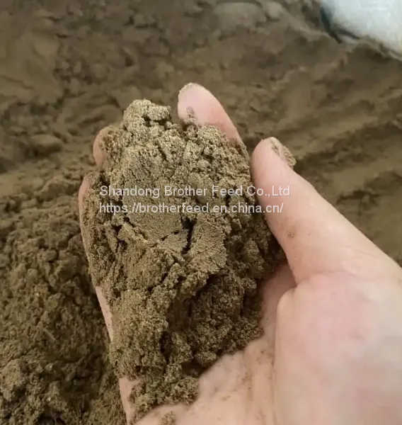 Bulk Dried Fish Meal Powder Wholesale Fish Meal Protein Fish Meal for Animal Feed photo-4