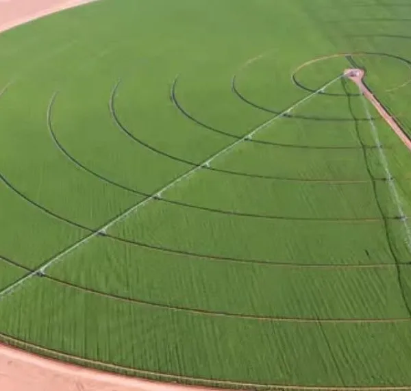 Center Pivot Irrigation Machine Electricity Center Pivot Translation Sprinkler Irrigation System photo-5