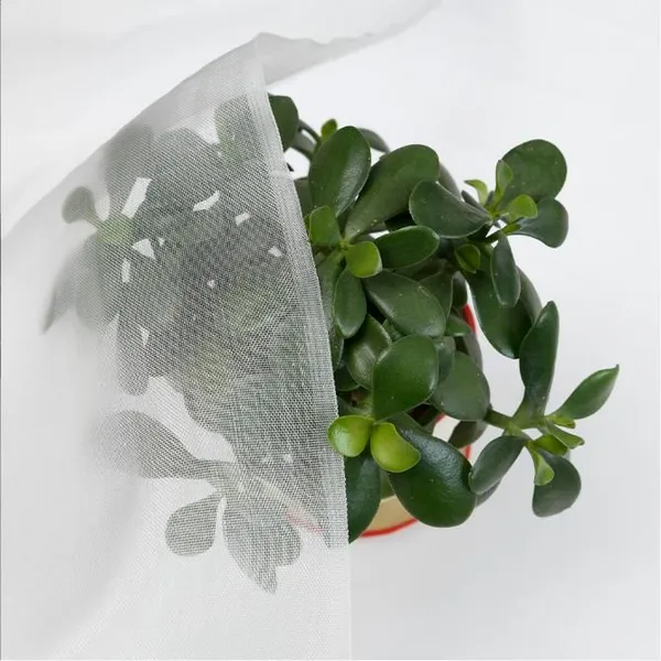 Anti Garden Netting Fine Mesh Crops Protection Netting Anti Insect Net photo-3