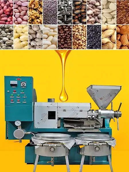 Pine Nut Soybean Oil Extraction Palm Kernel Oil Press Machine Hot and Cold Oil Production Line for Small Business photo-4