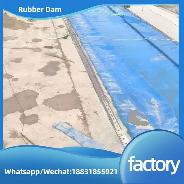 Water Inflatable Rubber Bladder photo-1