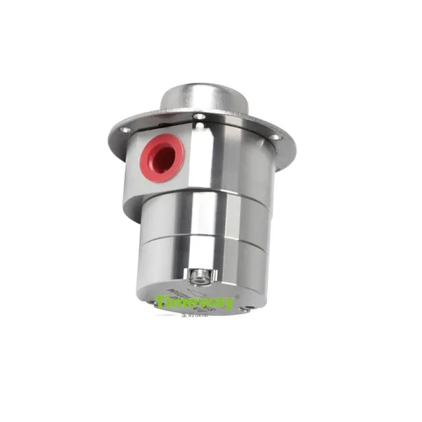 High Accuracy Self Priming Gear Metering Pump Stainless Steel 316L Magnetic Coupled Pump for Clean Water Wastewater OEM Support photo-2