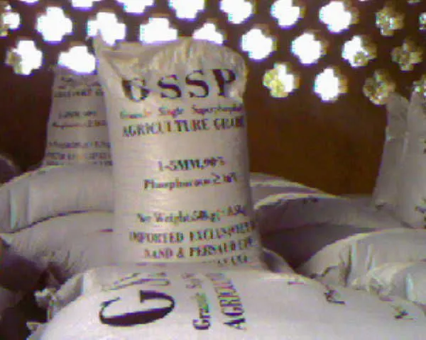 Single Super Phosphate SSP/DSP/TSP 20% 18% 16% Agriculture Fertilizer in Granule or Powder photo-5