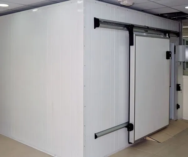 Apple/banana/orange/lemon Cold Storage,Cold Storage Room for Sale photo-3