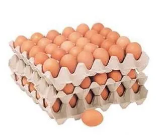 Semi Automatic Egg Tray Making Production Line / Paper Pulp Fruit Tray Machine photo-6