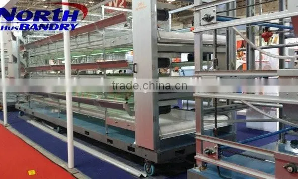 Full Automatic Feeding and Drinking System A Type Layer Quail Cage photo-6
