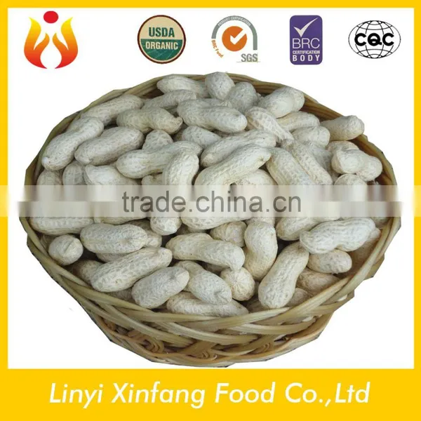 Best Selling Products Roast Peanut in Shell Price