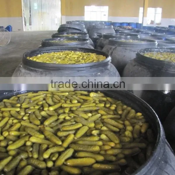 Pickled Gherkins 3-5 cm in 260L HDPE Drums