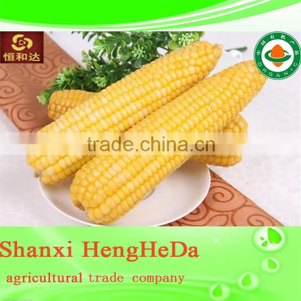 National Flag Perfect Corn photo-6