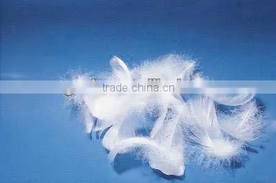 6CM Washed White Duck Feather