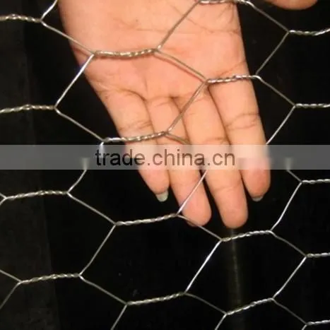 2016 Good Sales!! 24 Hot Galvanized Hexagonal Wire Mesh for Cleaning Stock photo-2