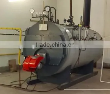 Longwell Hot Sale WNS Series Steam Gas Boilers for Sale photo-5