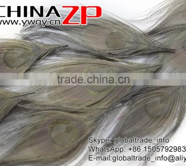No.1 Supplier ZPDECOR Wholesale Selected Prime Quality Dyed Grey Trimmed Short Peacock Feathers for Decoration photo-4