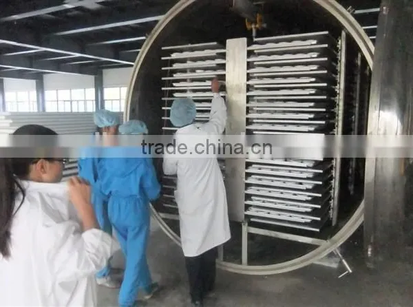 Vacuum Freeze Dryer(lyophilizer ) photo-5