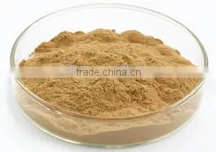 Gymnema Silvestre Extract Powder 25%/50%/75% photo-2