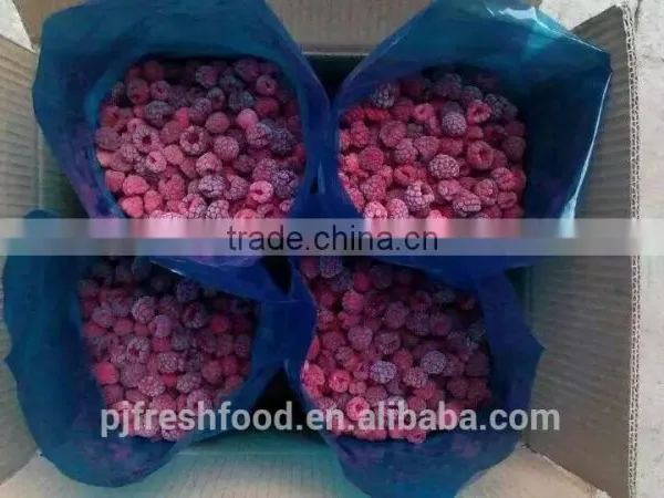 2016 Delicious Raspberry IOF photo-3