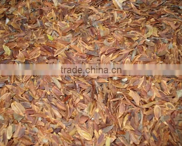 High Sprouting Rate Chinese Lilac Flower Tree Seeds for Planting photo-4