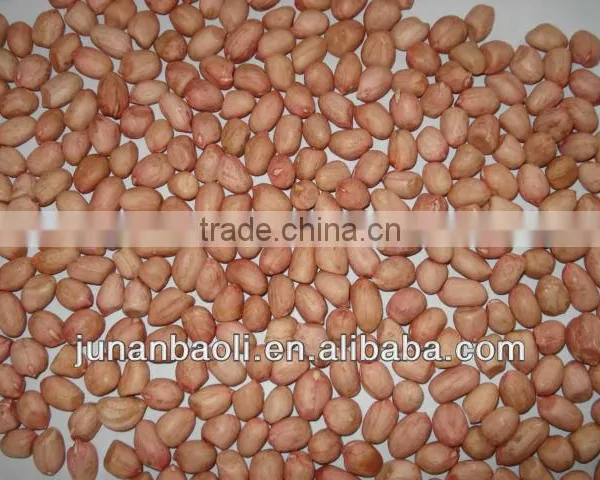 Peanut Kernels and Peanuts Kernel photo-2