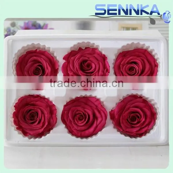 Single Natural Eternal Preserved Rose Head Wholesale photo-2