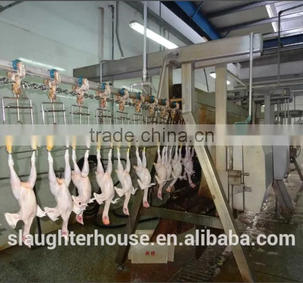 500bph Standard chicken dressing machine