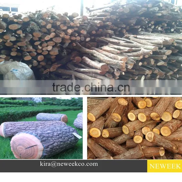 NEWEEK Wood Processing Circular Saw Slasher for Sale photo-6